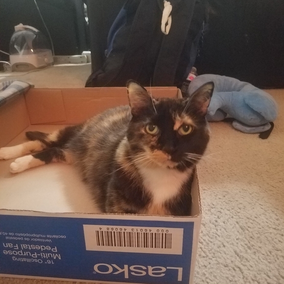 ✌♥🇺🇸♥🇺🇸♥🇺🇸♥✌ - Picture 10 of 14